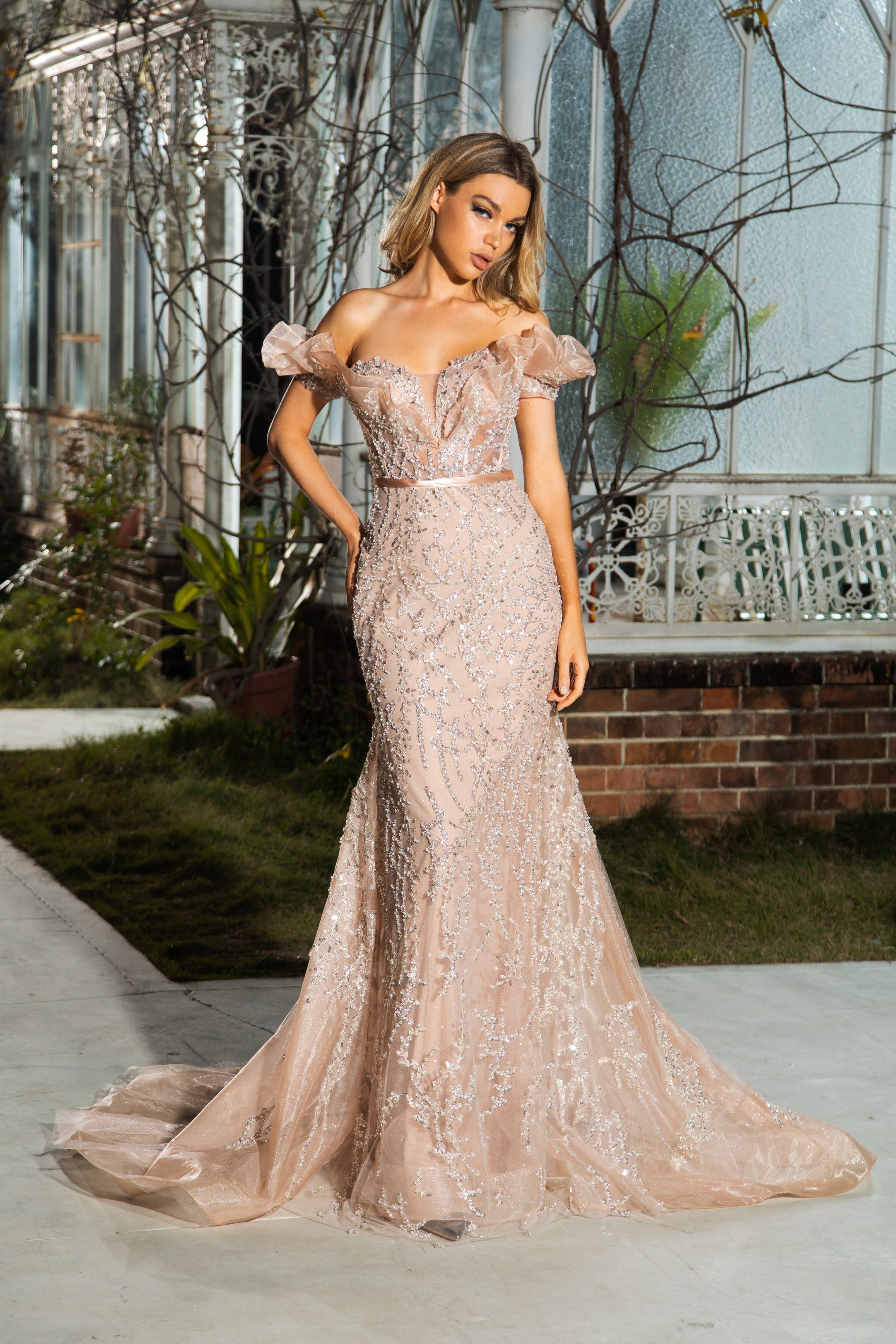 Champagne Off-Shoulder Embellished Gown