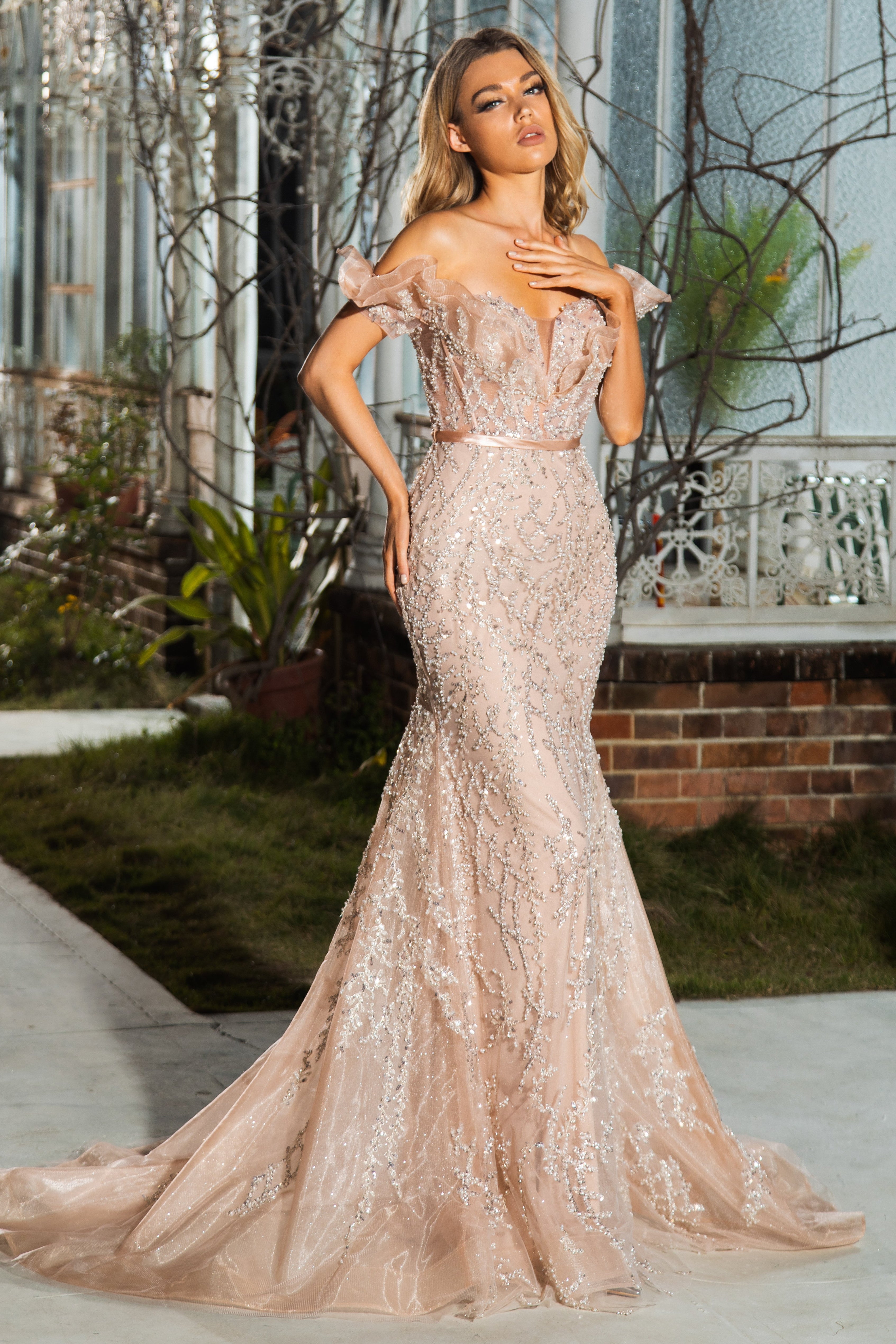 Champagne Off-Shoulder Embellished Gown