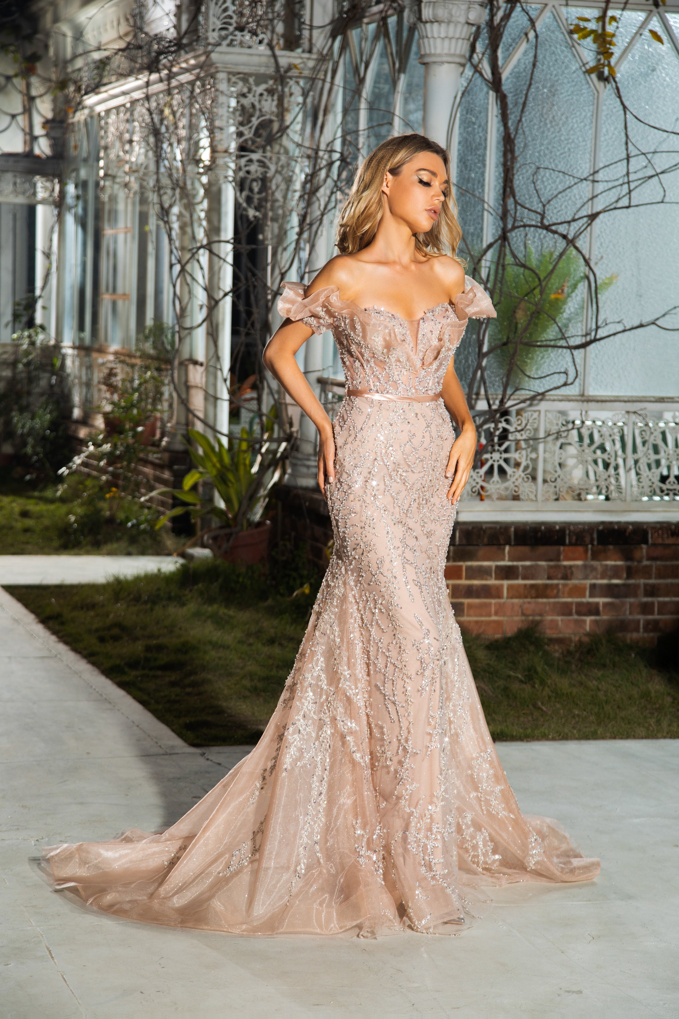 Champagne Off-Shoulder Embellished Gown